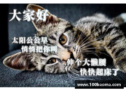 MRCAT猫先生正逢玫瑰铿锵，何惧百花争芳？郑钦文领衔美网出击