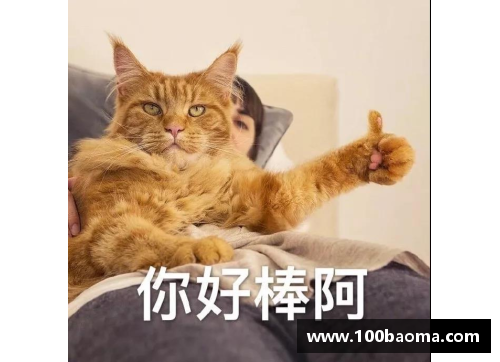 MRCAT猫先生悲情女王刘诗雯的奥运之路：失去与希望交织的故事 - 副本